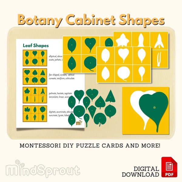 Botany Cabinet Shapes Montessori Botany Puzzle Cards Montessori Leaf Cabinet Coloring Sheet Matching Cards Cutting Activity, PDF Printable