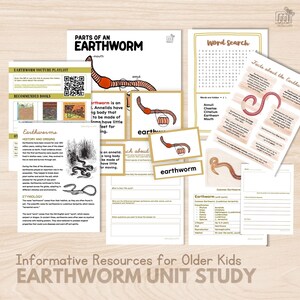 Earthworm Unit Study Montessori 5 Part Card Anatomy Earthworm Life Cycle Facts Research for Elementary Student Writing Prompts, Printable