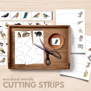 May include: Woodland animals cutting strips activity set.  The set includes a variety of animal images, cutting strips with dotted lines, and scissors.  The text "Woodland Animals Cutting Strips" is at the bottom of the image.