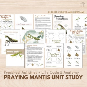 PRAYING MANTIS Unit Study Preschool Activity Levenscyclus van Bidsprinkhaan Anatomie Afdrukbare Montessori Zoölogie Nomenclatuur 3 Deel Kaart