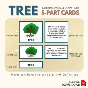 Części jednostki badawczej TREE Montessori Botany 5-częściowa karta definicji Materiały językowe dotyczące aktywności w niższych klasach podstawowych, PDF do wydrukowania
