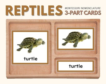 REPTILES Three Part Cards Montessori Nomenclature 3-Part Classified Cards Vocabulary Learning Activity Animal Science Lesson, PDF Printable