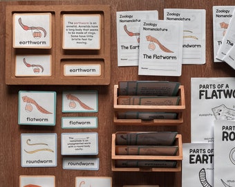 WORMS Zoology Unit Study Parts of Earthworm Flatworm Roundworm Montessori Nomenclature Homeschool Lesson Classroom Material Printable Bundle