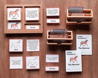 MAMMALS Zoology Unit Study Parts of Horse Montessori Nomenclature 5-Part Card Booklet Homeschool Lesson Classroom Material Printable Bundle