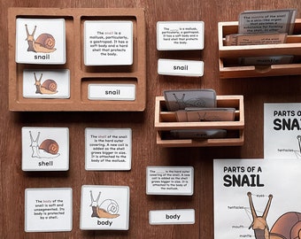 MOLLUSKS Zoology Unit Study Parts of Snail Montessori Nomenclature 5-Part Card Booklet Homeschool Lesson Classroom Material Printable Bundle