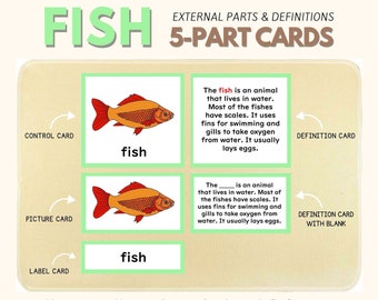Parts of the FISH Montessori Zoology Nomenclature 5-Part Card Montessori Control Chart Classroom Material Homeschool Activity PDF Printable