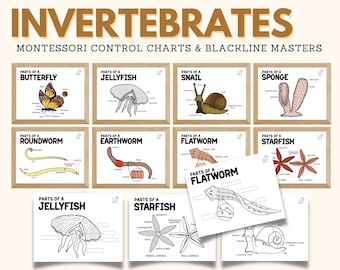 Montessori Zoology INVERTEBRATES Control Chart Blackline Masters Science Wall Art Poster Decor Toddler Coloring Page Activity, PDF Printable