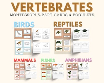 VERTEBRATES Montessori Zoology Unit Study Montessori Nomenclature 5-Part Card Booklet Homeschool Printable Bundle Classroom Print Material