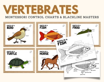 Montessori Zoology VERTEBRATES Montessori Control Chart Blackline Masters WallArt Poster Decor Toddler Coloring Page Activity, PDF Printable