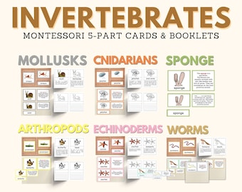 INVERTEBRATES Montessori Zoology Unit Study Montessori Nomenclature 5-Part Card Booklet Homeschool Printable Bundle Classroom Print Material