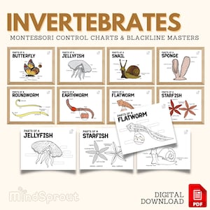 Montessori Zoologie INVERTEBRATES Kontrollkarte Blackline Masters Science Wandkunst Poster Dekor Kleinkind Ausmalseite Aktivität, PDF Printable