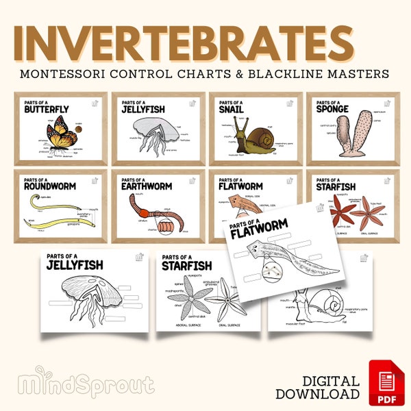 Montessori Zoology INVERTEBRATES Control Chart Blackline Masters Science Wall Art Poster Decor Toddler Coloring Page Activity, PDF Printable