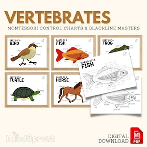 Montessori Zoology VERTEBRATES Montessori Control Chart Blackline Masters WallArt Poster Decor Toddler Coloring Page Activity, PDF Printable