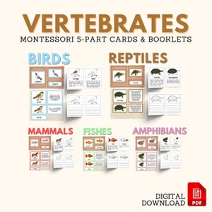 VERTEBRATES Montessori Zoology Unit Study Montessori Nomenclature 5-Part Card Booklet Homeschool Printable Bundle Classroom Print Material