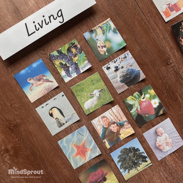 LIVING and NON-LIViNG Sorting Cards Montessori Activity Preschool Science Montessori Homeschool Printable Summer Activity STEM Resource Work