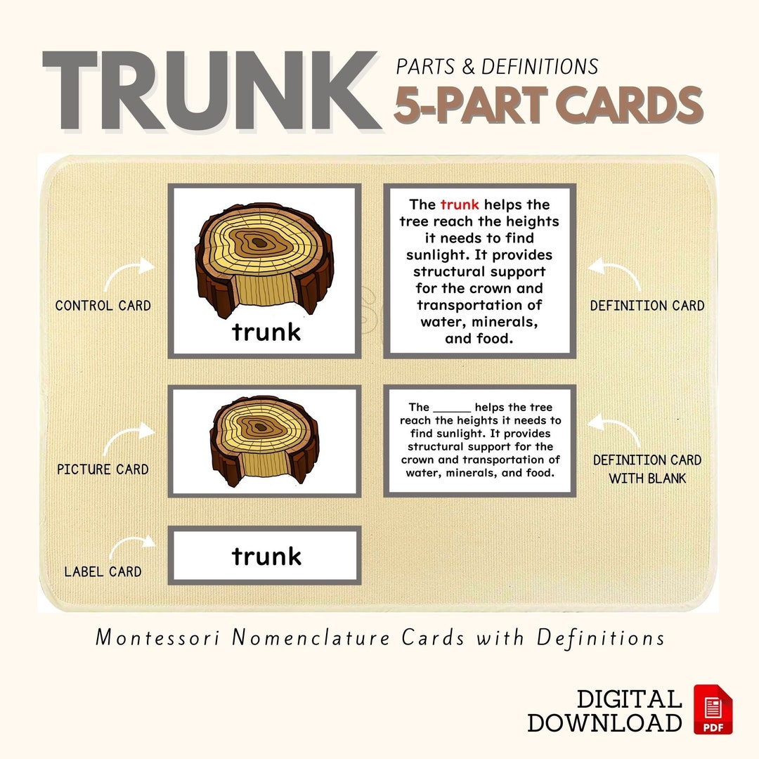 Parts of the TRUNK Montessori Botany Unit Study 5part Card Definition