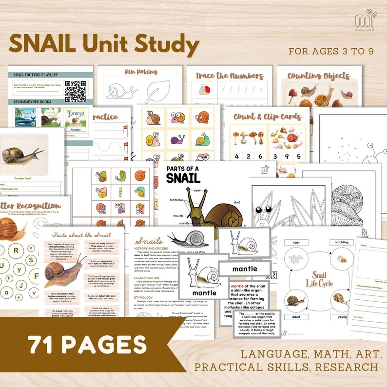 Snail Unit Study (for 3-9) Preschool Activities Unit Research for Elementary Student Montessori Zoology Snail 5 Part Card, Printable
