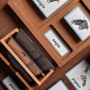 May include: A set of educational flash cards featuring images of different birds, including an eagle, a penguin, and a pigeon. The cards have blue borders and the names of the birds are printed on them.