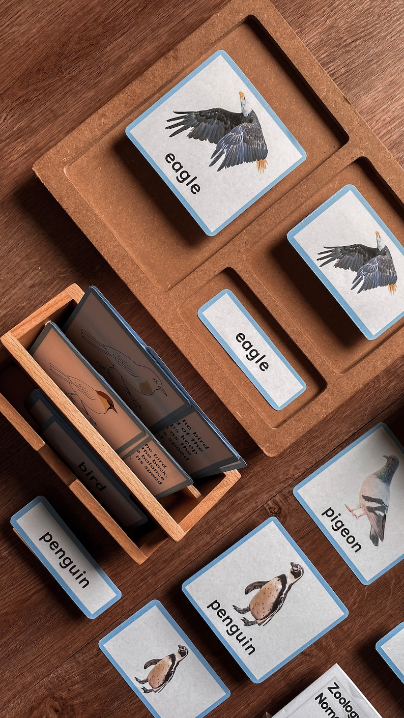 May include: A set of educational flash cards featuring images of different birds, including an eagle, a penguin, and a pigeon. The cards have blue borders and the names of the birds are printed on them.