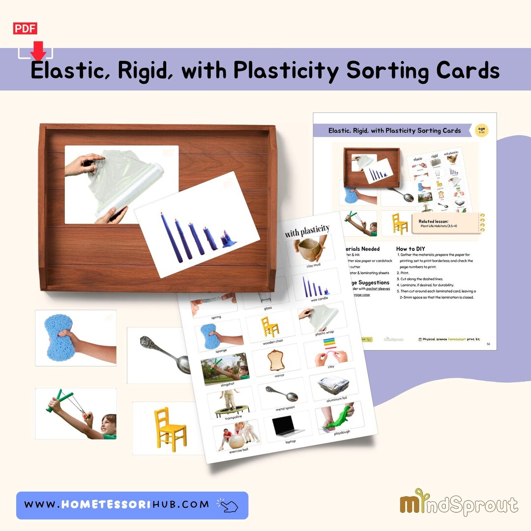 Elastic, Rigid, With Plasticity Sorting Cards Physics Activity ...