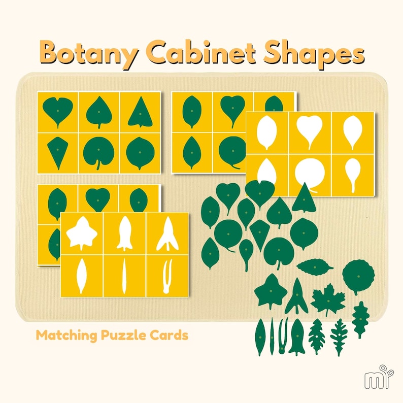Botany Shapes Montessori Botany Puzzle Cards Montessori Leaf