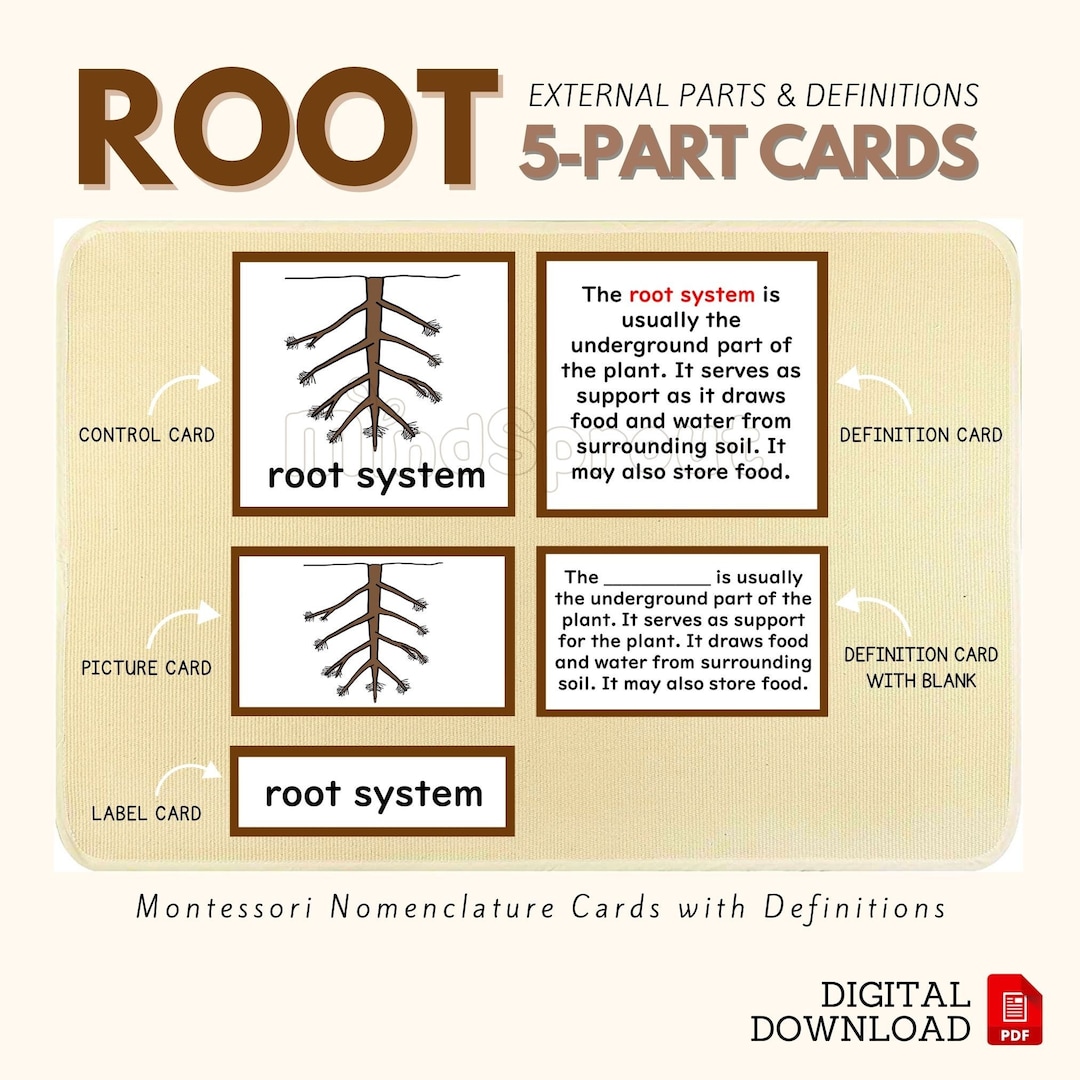 Parts of the ROOT Montessori Botany Unit Study 5part Card Definition