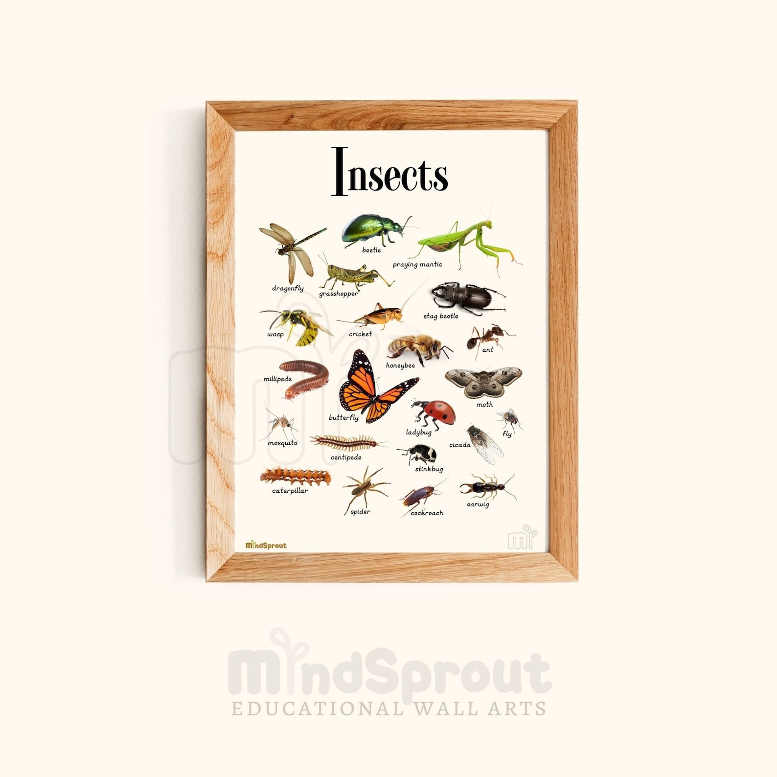 Educational Wall Art Montessori Chart Insects Poster Home Decor for ...