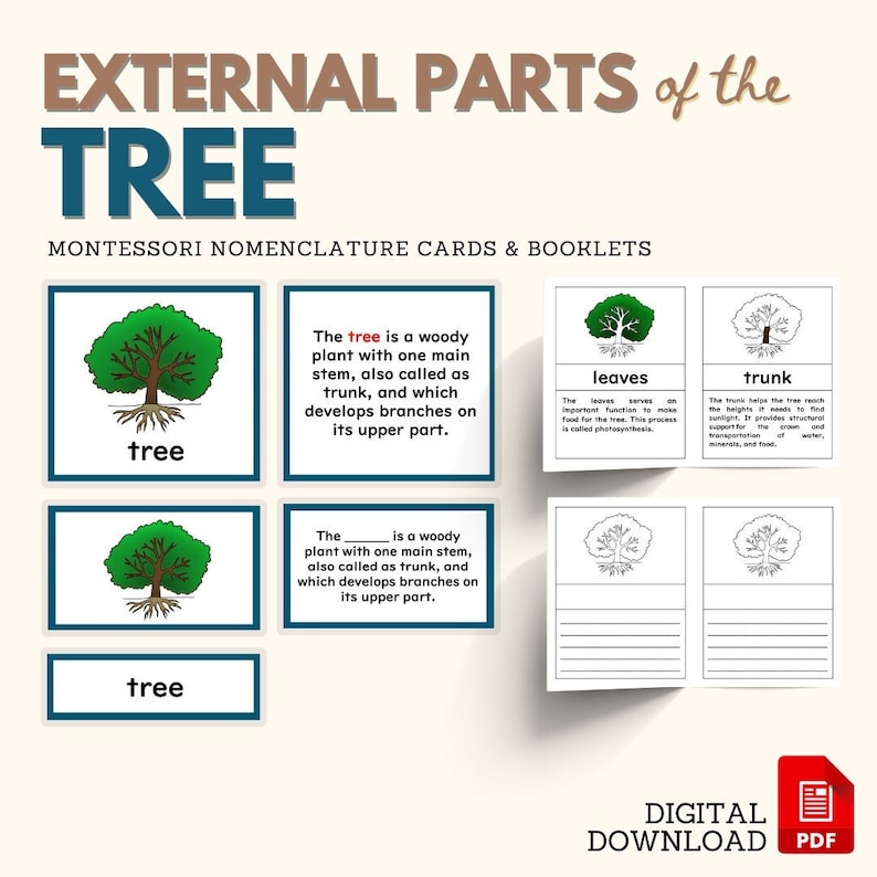 Parts of the TREE Montessori Botany Unit Study 5part Card Definition