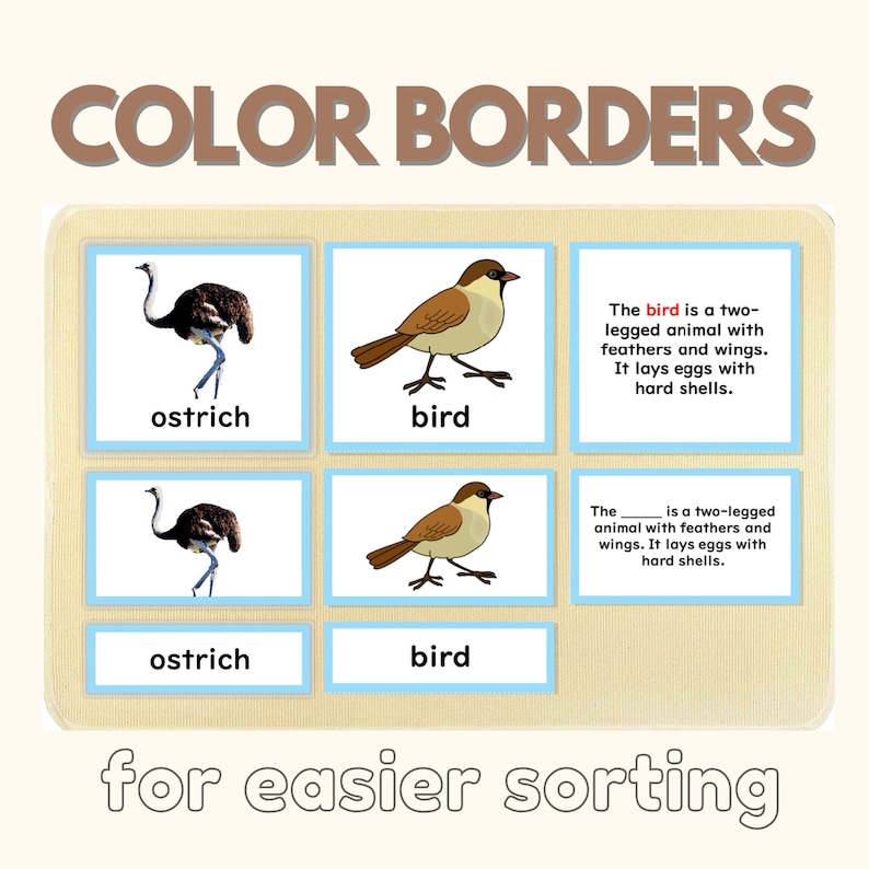 May include: A set of four colorful flashcards with images of an ostrich and a bird. The flashcards have blue borders and the words "ostrich" and "bird" written below each image. The text on the right side of the image reads "The bird is a two-legged animal with feathers and wings. It lays eggs with hard shells." and "The ____ is a two-legged animal with feathers and wings. It lays eggs with hard shells."