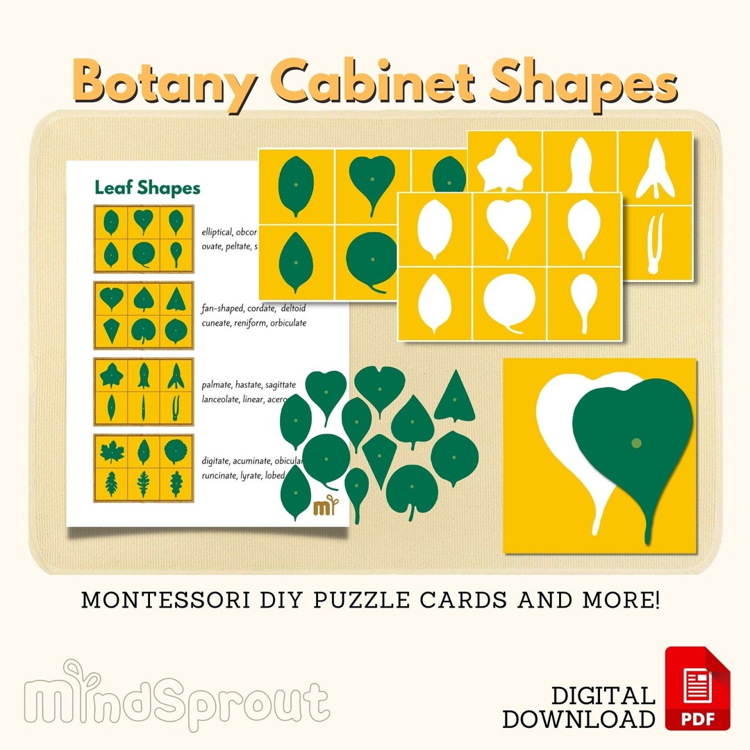 Botany Shapes Montessori Botany Puzzle Cards Montessori Leaf