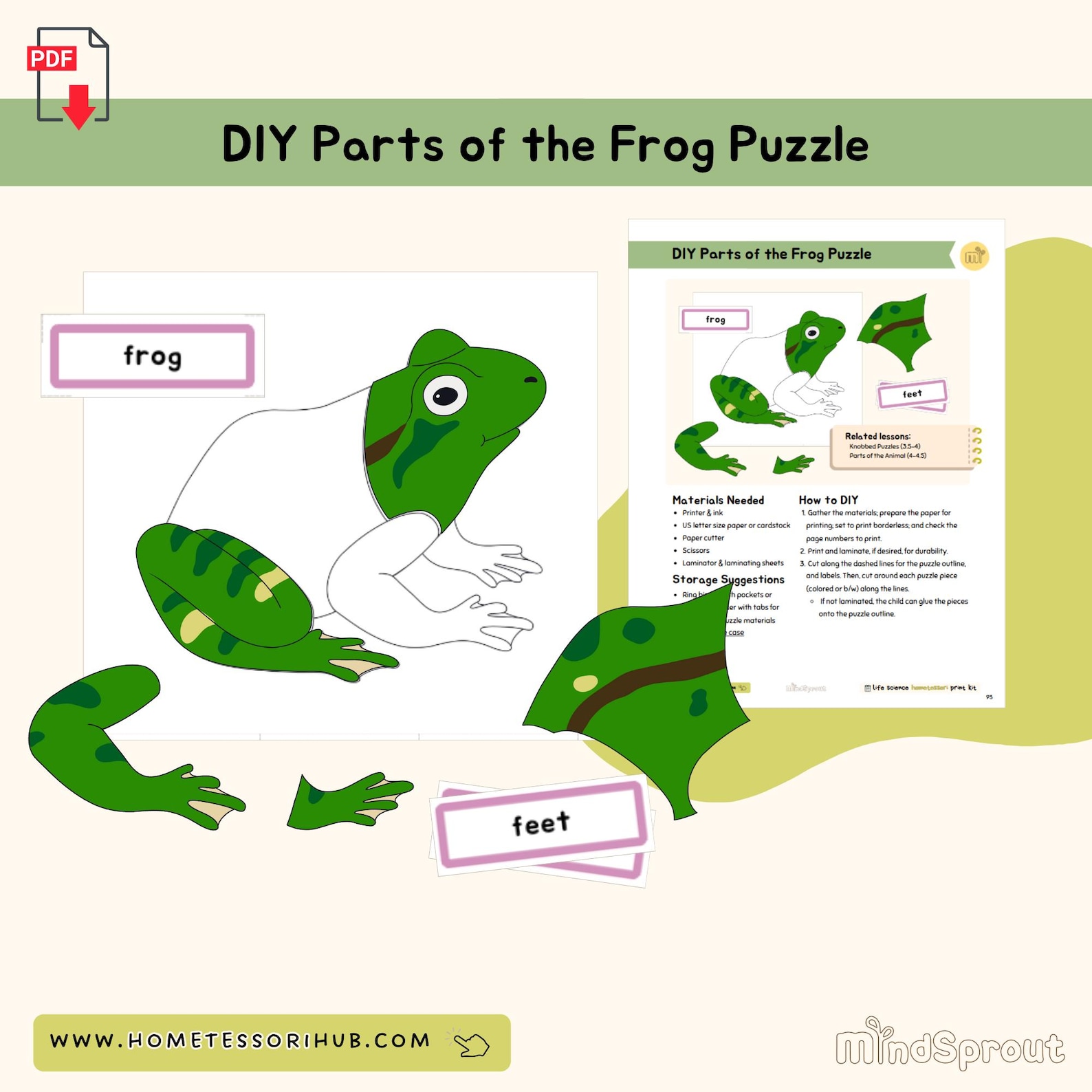 DIY Parts of the Frog Puzzle Zoology Montessori Printable Material - Etsy