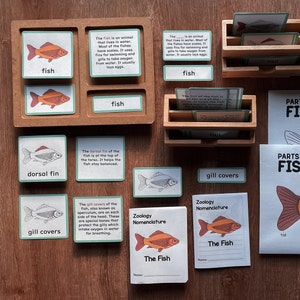 FISH Unidad de Zoología Estudio Partes de Peces Nomenclatura Montessori Folleto de tarjetas de 5 partes Lección de educación en el hogar Material para el aula Paquete imprimible