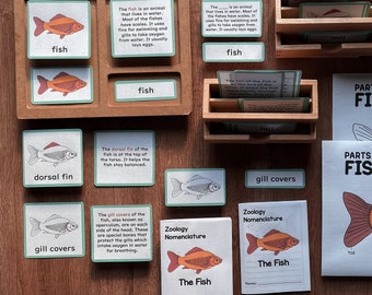 FISH Zoology Unit Study Parts of Fishes Montessori Nomenclature 5-Part Card Booklet Homeschool Lesson Classroom Material Printable Bundle