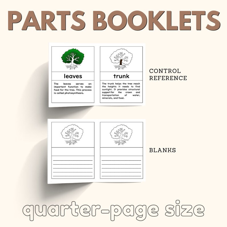 Parts of the TREE Montessori Botany Unit Study 5part Card Definition