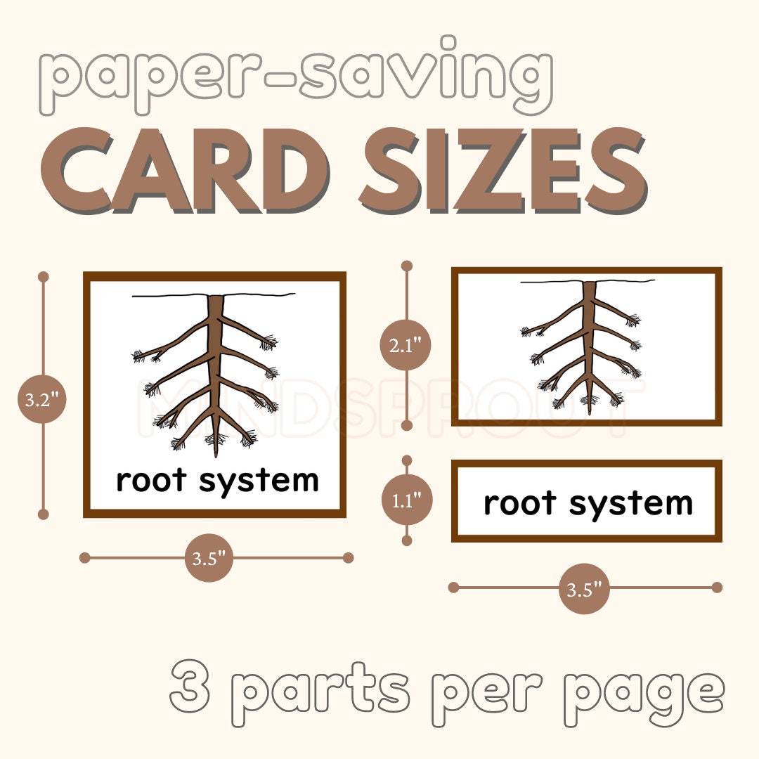 Parts of the ROOT Montessori Botany Unit Study 5-part Card Definition ...