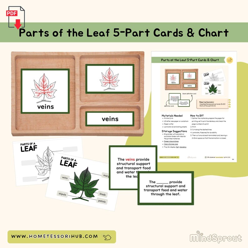 Parts of the Leaf 5-part Cards, Chart & Booklets Botany Montessori ...