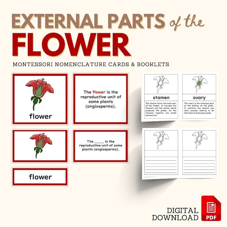 Parts of the FLOWER Montessori Botany Unit Study 5-part Card Definition ...