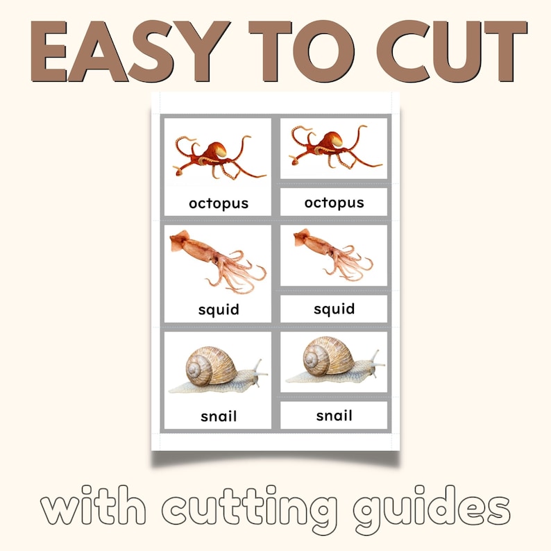 Op de afbeelding: Een printbare set van zes kaarten met afbeeldingen van een octopus, een inktvis en een slak. Elke kaart heeft twee afbeeldingen en de naam van het dier eronder geschreven. De tekst "EASY TO CUT" staat bovenaan de pagina en de tekst "with cutting guides" staat onderaan de pagina.