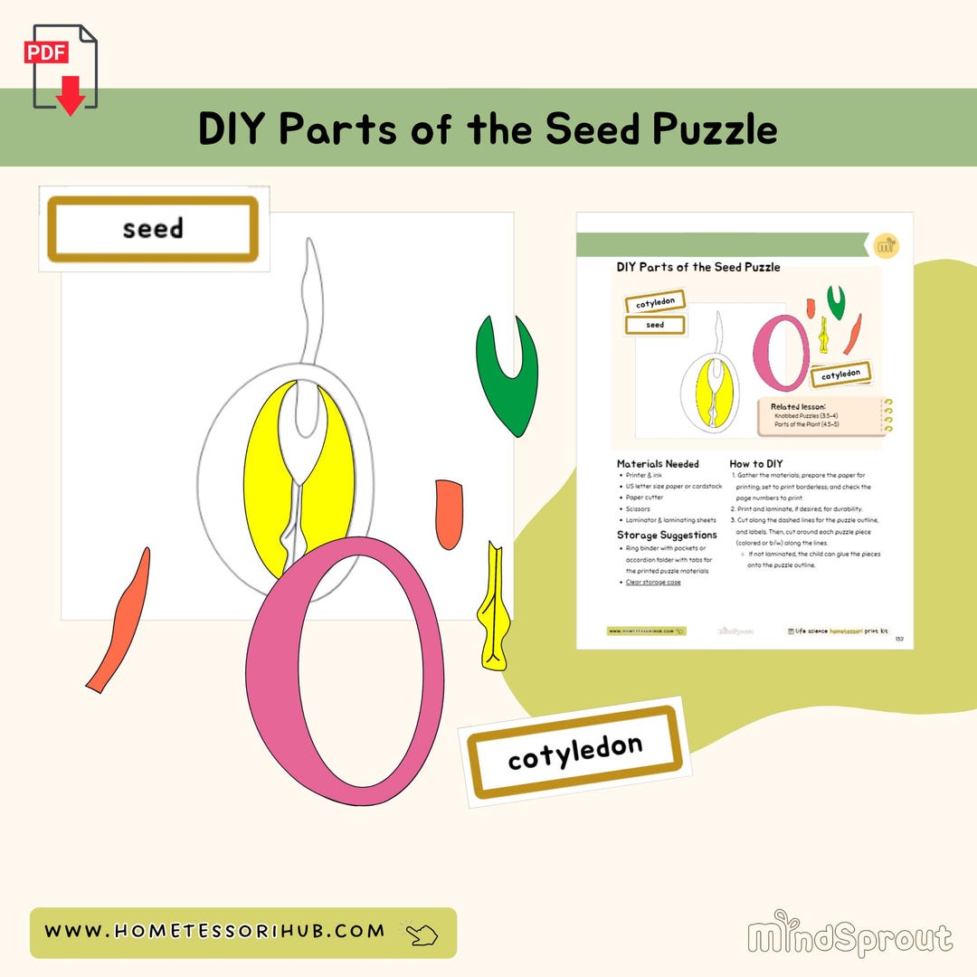 DIY Parts of the Seed Puzzle Botany Montessori Printable Material - Etsy