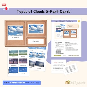 Puede incluir: Una bandeja de madera con tarjetas de identificación de nubes. Las tarjetas presentan imágenes de nubes cúmulus, cirros, fractus, mammatus y estelas de condensación. Una página impresa detalla los materiales necesarios e instrucciones de bricolaje. Se muestra el texto "Types of Clouds 5-Part Cards".