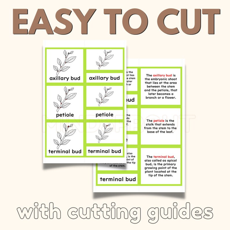 Parts of the STEM Montessori Botany Unit Study 5part Card Definition