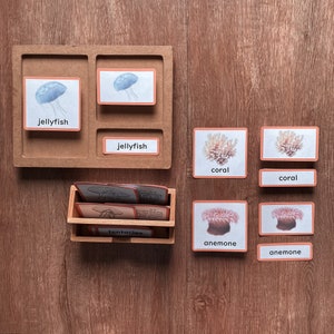 Op de afbeelding: Een houten dienblad met twee sets van bijpassende kaarten. De kaarten bevatten afbeeldingen van kwallen, koralen en zeeanemonen. De kaarten zijn gelabeld met de namen van de zeedieren. Het dienblad bevat ook een kleine houten doos met kaarten met het label "tentakels".