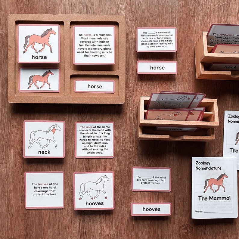 MAMMALS Zoology Unit Study Parts of Horse Montessori Nomenclature 5
