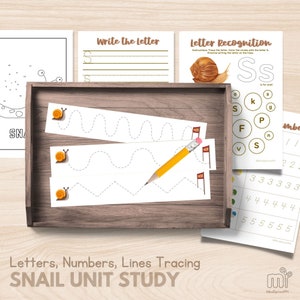May include: A set of printable snail-themed educational worksheets for preschoolers. The worksheets include letter recognition, tracing lines, and number recognition activities. The worksheets feature a cartoon snail illustration.