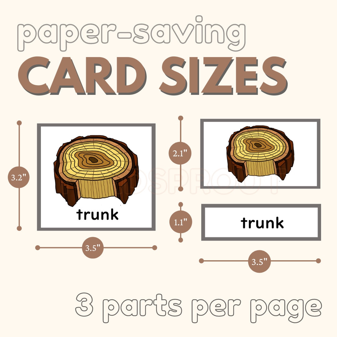 Parts of the TRUNK Montessori Botany Unit Study 5part Card Definition
