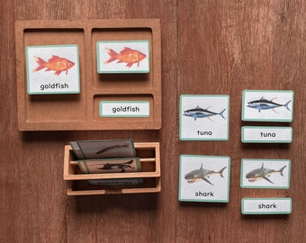 FISH Unit Study Three Part Card Montessori Nomenclature 3-Part Classified Card Vocabulary Learning Activity Animal Anatomy, PDF Printable