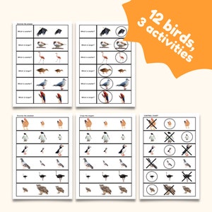 Small Medium Large Size Sorting Activity Montessori Sensorial ...