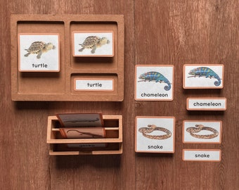 REPTILES Three Part Cards Montessori Nomenclature 3-Part Classified Cards Vocabulary Learning Activity Animal Science Lesson, PDF Printable