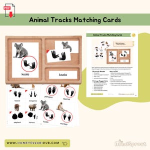 Bijpassende kaarten dierensporen Zoölogie Afdrukbaar materiaal Montessori