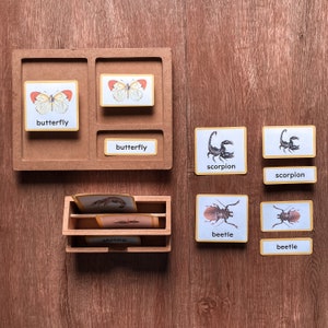 ARTHROPODS Three Part Card Montessori Nomenclature 3-Part Classified Card Vocabulary Learning Activity Animal Science Lesson, PDF Printable